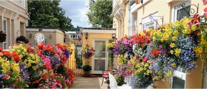 Crowndale Torquay - Exclusively For Adults Bed & Breakfast Exterior photo